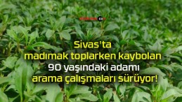 Sivas’ta madımak toplarken kaybolan 90 yaşındaki adamı arama çalışmaları sürüyor!