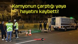 Kamyonun çarptığı yaya hayatını kaybetti!