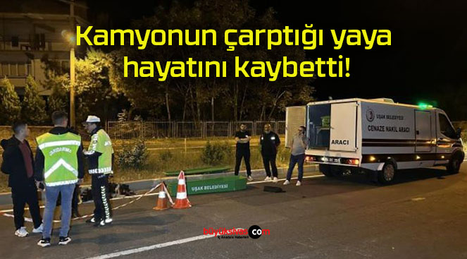 Kamyonun çarptığı yaya hayatını kaybetti!