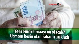 Yeni emekli maaşı ne olacak? Uzmanı kesin olan rakamı açıkladı