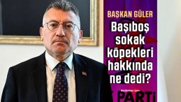 Başıboş köpekler uyutulacak mı? AK Parti Grup Başkanı Abdullah Güler’den açıklama