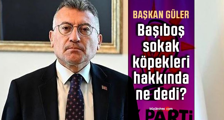Başıboş köpekler uyutulacak mı? AK Parti Grup Başkanı Abdullah Güler’den açıklama