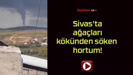 Sivas’ta ağaçları kökünden söken hortum!