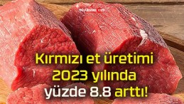 Kırmızı et üretimi 2023 yılında yüzde 8.8 arttı!