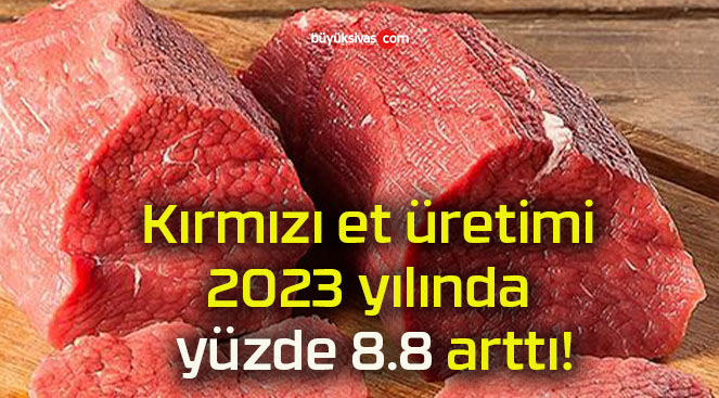 Kırmızı et üretimi 2023 yılında yüzde 8.8 arttı!