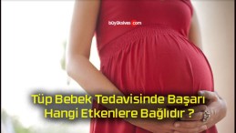 Tüp Bebek Tedavisinde Başarı Hangi Etkenlere Bağlıdır ?