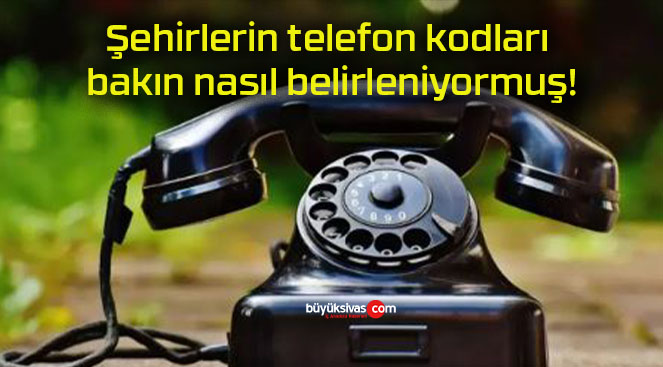 Şehirlerin telefon kodları bakın nasıl belirleniyormuş!