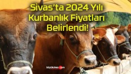 Sivas’ta 2024 Yılı Kurbanlık Fiyatları Belirlendi!