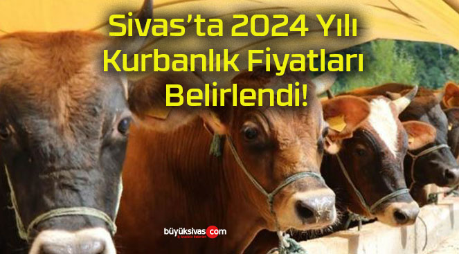 Sivas’ta 2024 Yılı Kurbanlık Fiyatları Belirlendi!