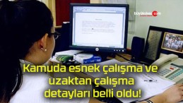 Kamuda esnek çalışma ve uzaktan çalışma detayları belli oldu!