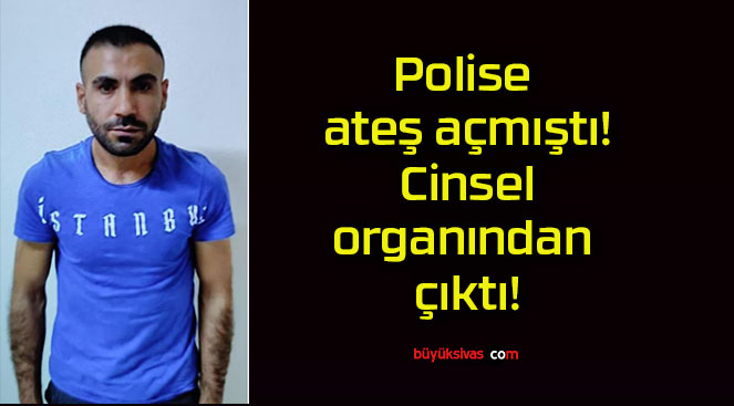 Polise ateş açmıştı! Cinsel organından çıktı!