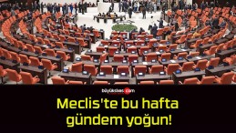 Meclis’te bu hafta gündem yoğun!