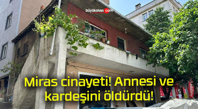 Miras cinayeti! Annesi ve kardeşini öldürdü!