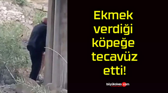 Ekmek verdiği köpeğe tecavüz etti!