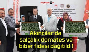 Akıncılar’da salçalık domates ve biber fidesi dağıtıldı!