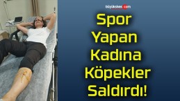 Spor Yapan Kadına Köpekler Saldırdı!