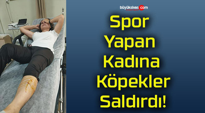 Spor Yapan Kadına Köpekler Saldırdı!