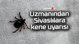 Uzmanından Sivaslılara kene uyarısı