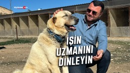 Uzman Kangal köpeği yetiştiricisi Yıldız: “Kangal ve kurt kuzendir”