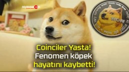 Coinciler Yasta! Fenomen köpek hayatını kaybetti!