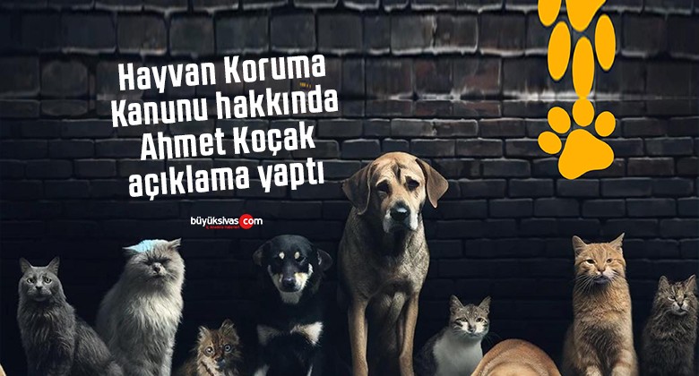 Hayvan Koruma Kanunu hakkında Ahmet Koçak açıklama yaptı