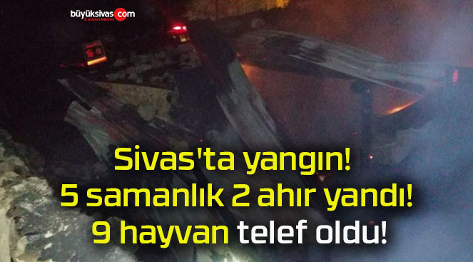 Sivas’ta yangın! 5 samanlık 2 ahır yandı! 9 hayvan telef oldu!