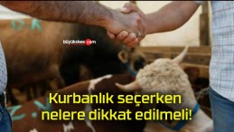 Kurbanlık seçerken nelere dikkat edilmeli!