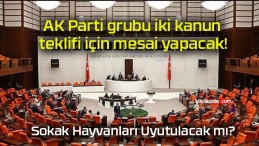 AK Parti grubu iki kanun teklifi için mesai yapacak!