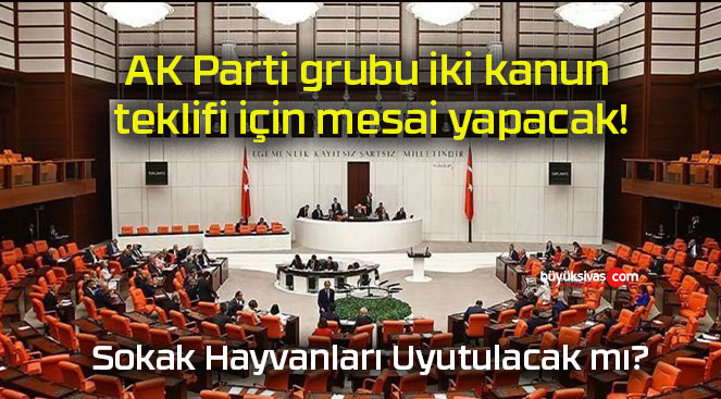 AK Parti grubu iki kanun teklifi için mesai yapacak!