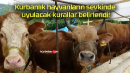 Kurbanlık hayvanların sevkinde uyulacak kurallar belirlendi!