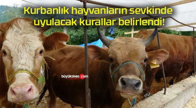 Kurbanlık hayvanların sevkinde uyulacak kurallar belirlendi!