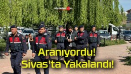 Aranıyordu! Sivas’ta Yakalandı!