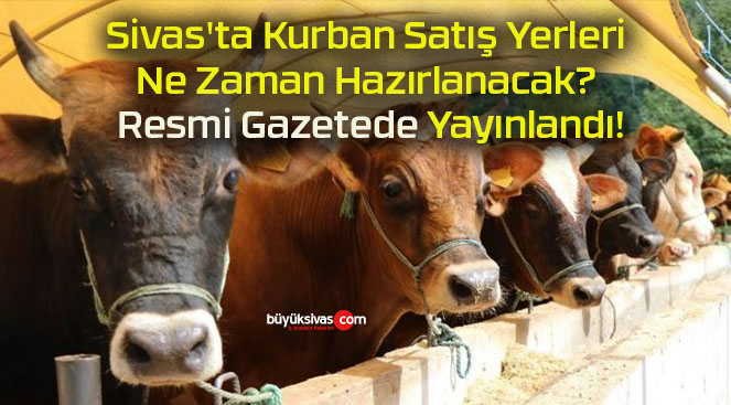 Sivas’ta Kurban Satış Yerleri Ne Zaman Hazırlanacak? Resmi Gazetede Yayınlandı!