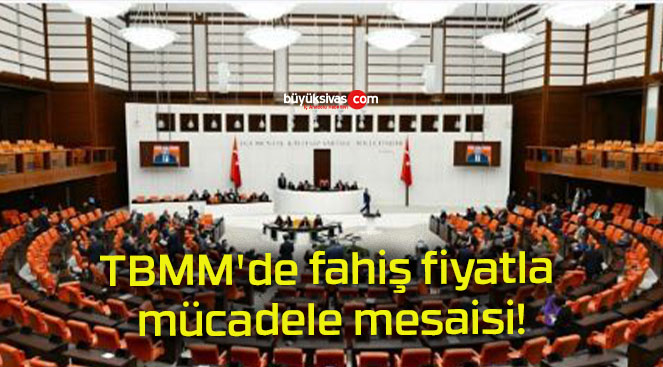 TBMM’de fahiş fiyatla mücadele mesaisi!