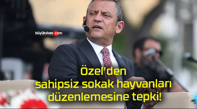 Özel’den sahipsiz sokak hayvanları düzenlemesine tepki!