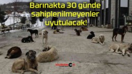 Barınakta 30 günde sahiplenilmeyenler uyutulacak!