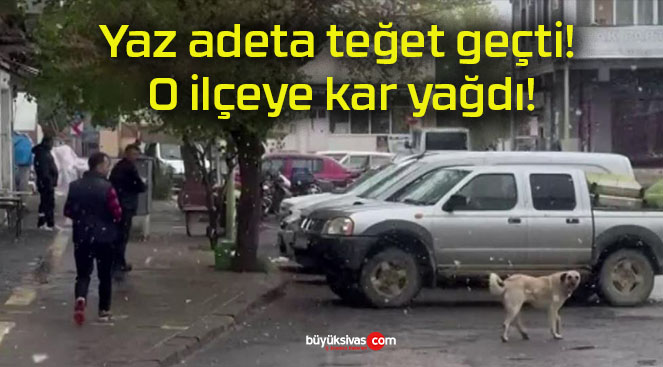 Yaz adeta teğet geçti! O ilçeye kar yağdı!