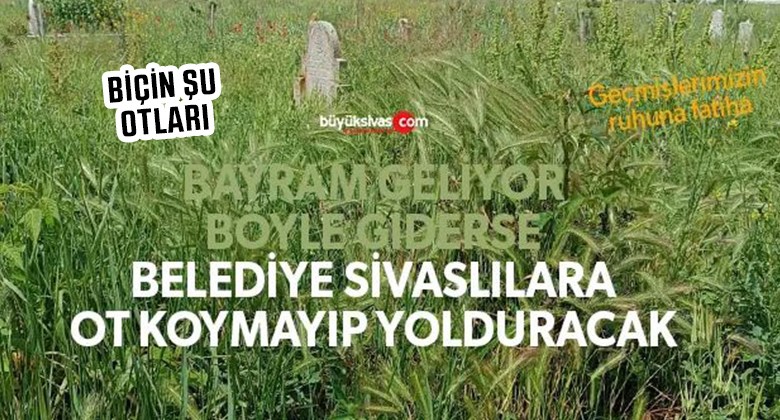 Bayram öncesinde Sivas Belediyesi’ne son çağrı! Mezarlardaki otları biçin