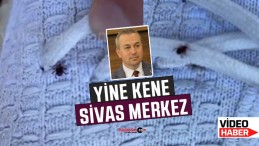 Sivas’ta merkezde keneler artık evlere kadar giriyor