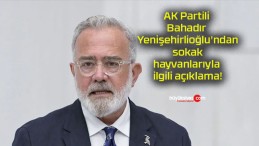 AK Partili Bahadır Yenişehirlioğlu’ndan sokak hayvanlarıyla ilgili açıklama!