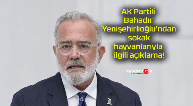 AK Partili Bahadır Yenişehirlioğlu’ndan sokak hayvanlarıyla ilgili açıklama!