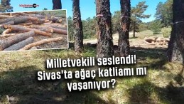 Milletvekili seslendi! Sivas’ta ağaç katliamı mı yaşanıyor?