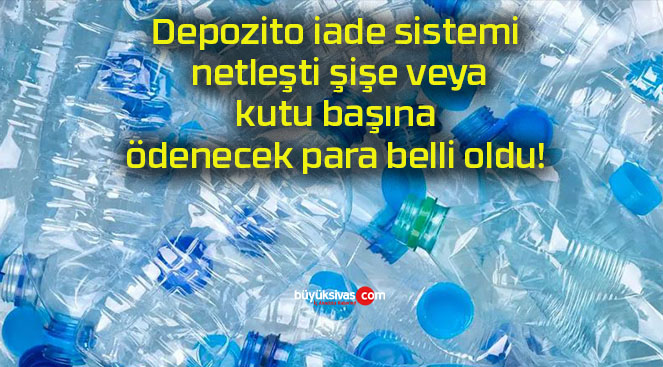 Depozito iade sistemi netleşti şişe veya kutu başına ödenecek para belli oldu!