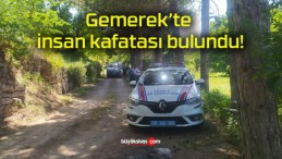 Gemerek’te insan kafatası bulundu!