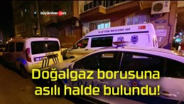 Doğalgaz borusuna asılı halde bulundu!