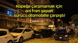 Köpeğe çarpmamak için ani fren yapan sürücü otomobille çarpıştı!