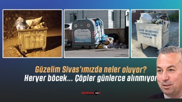 Sivas’ta her yer sinek böcek! Mahallelerde oluşan çöp dağları