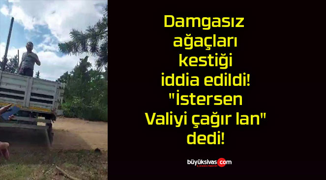 Damgasız ağaçları kestiği iddia edildi! “İstersen Valiyi çağır lan” dedi!