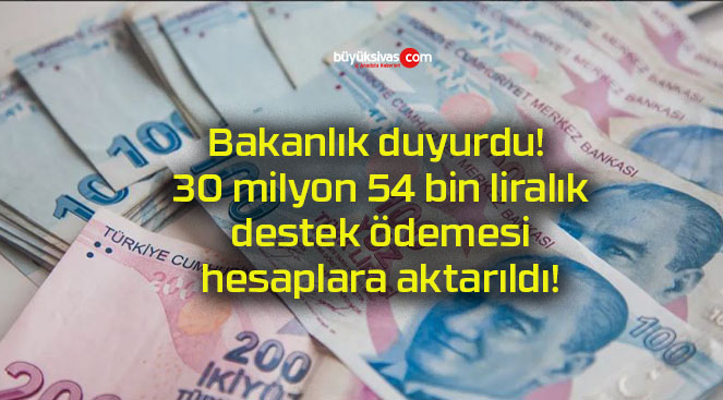 Bakanlık duyurdu! 30 milyon 54 bin liralık destek ödemesi hesaplara aktarıldı!