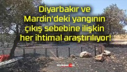 Diyarbakır ve Mardin’deki yangının çıkış sebebine ilişkin her ihtimal araştırılıyor!